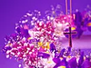 Easter Wreath