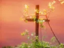 Empty Cross