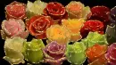 Roses