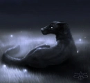 Dark wolf