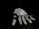 hand made of ice