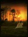 angel.evening. 