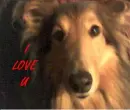 I love u
