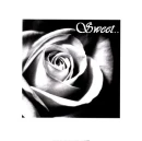 B&W Sweet Rose