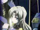 black cat