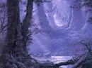 Moonlit Forest