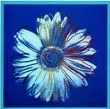 Blue Daisy