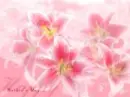 Mother Day