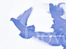 Dove