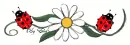 Ladybugs Divider