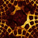 Lava