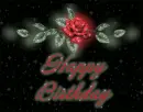 Birthday