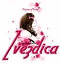 zvezdica