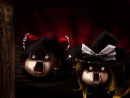 Reimu and Marisa know