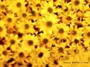Happy mother day background