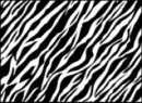 zebra print