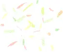 Light BG