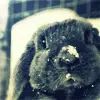 <3