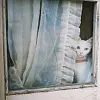 <3
