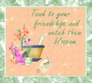 Tendend Friendship