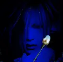 The Rose