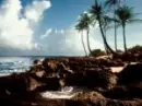 Coast 02