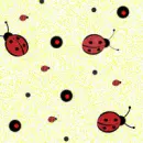 Bug