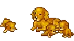 Golden