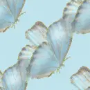 niebieski, motyl, blue, butterfly