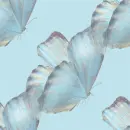 niebieski, motyl, blue, butterfly