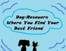 dog-rescuers