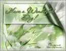 Have a Wonderful Day