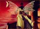 Sunset Faerie