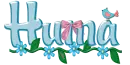 Huma