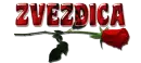 ZVEZDICA