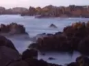 Shore Morning