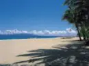Sands