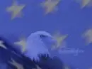 Independence Day 