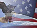 July 4th 2010