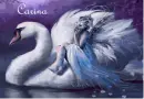 Carina