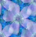 purple flowers