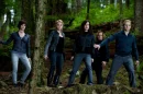The Cullen's