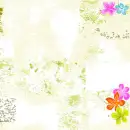 safari flowers