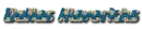 Dallas Mavericks