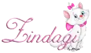 zindagi