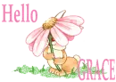 Hello