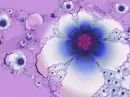 flowers 8