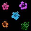 Flower background