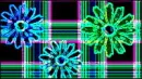 Flower background