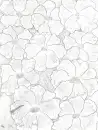 Flower background